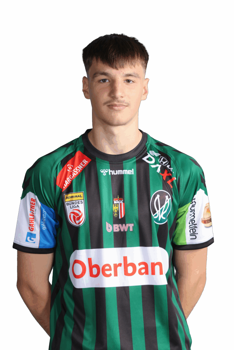 Nermin Mesic